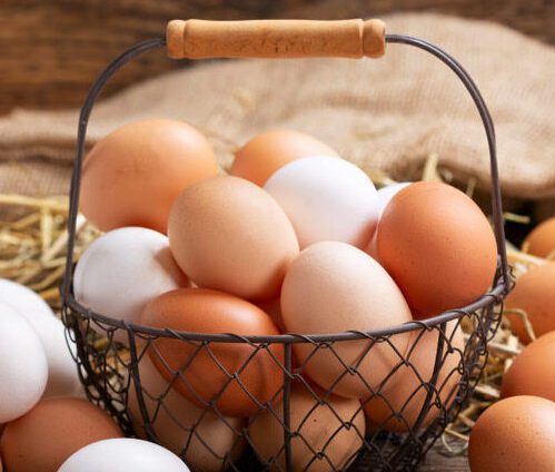 Huevos de Campo (docena )