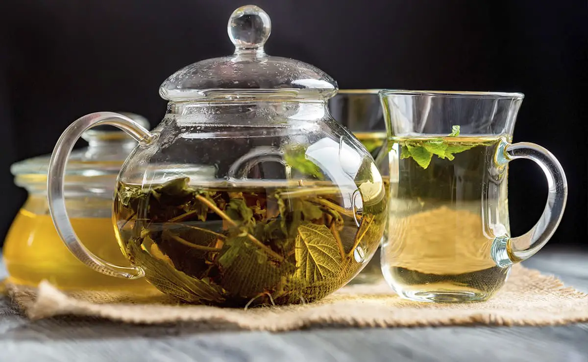 Boldo para Infusión ( 25 grs )